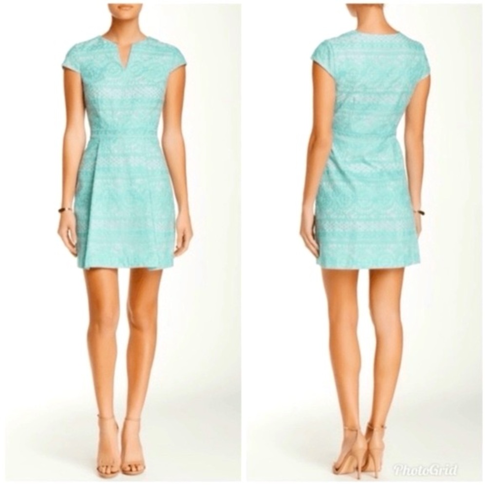 Cynthia Steffe Embroidered Dress